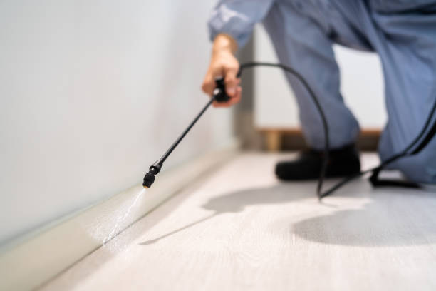 Licensed Termite Control service in Senatobia, MS - Show Me Pest Control