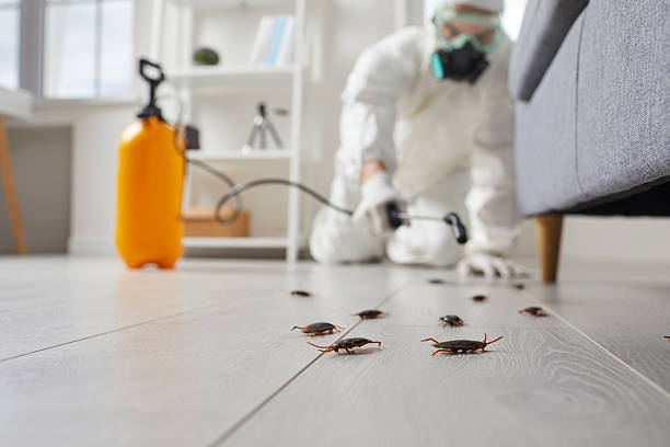 Commercial Rodent Management in Senatobia